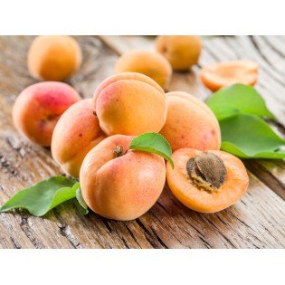 Abricot rosé de Provence